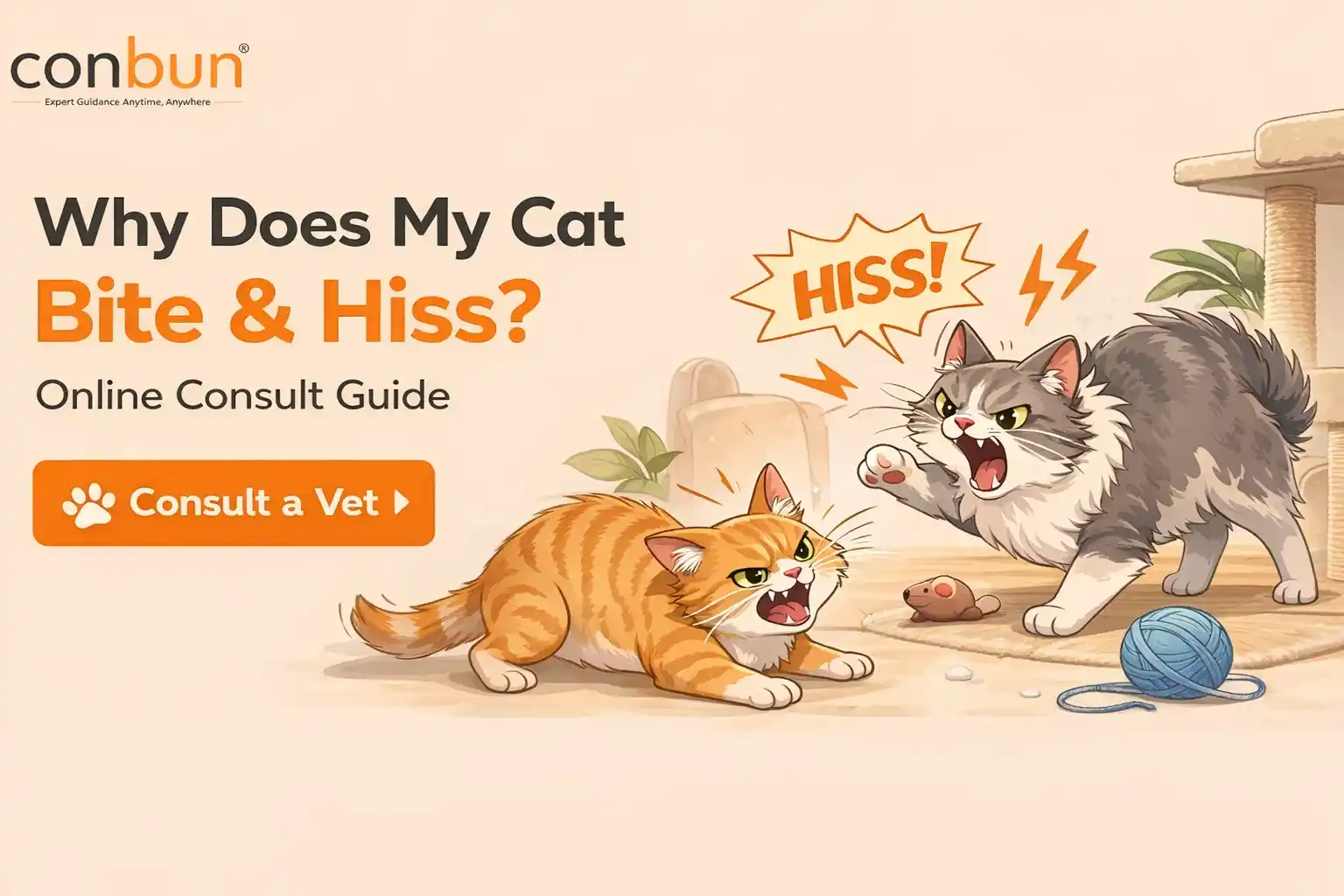 Why Does My Cat Bite & Hiss? Online Consultation Guide